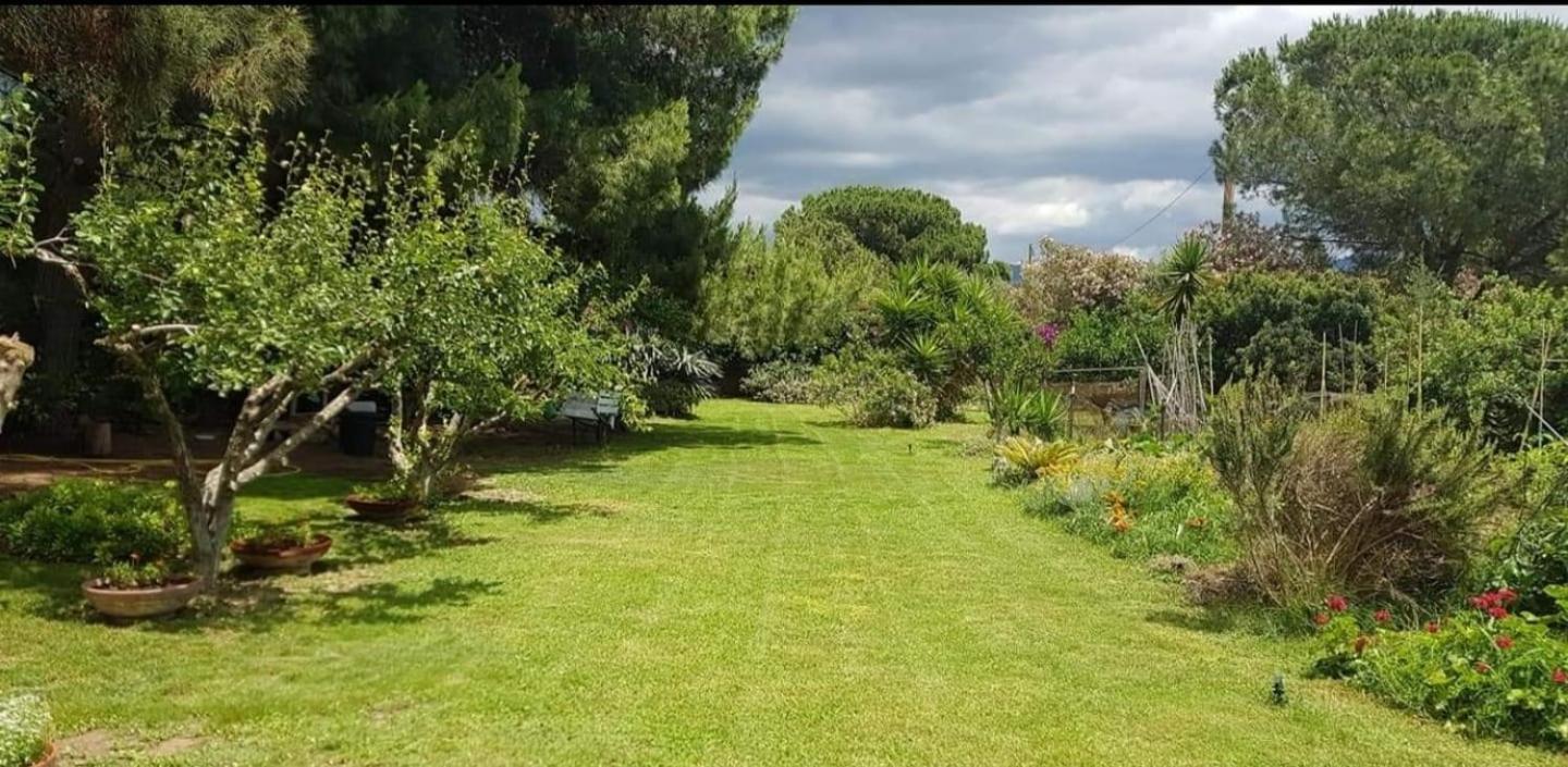 Il Giardino Di Frafa Lägenhet Quartu SantʼElena Exteriör bild