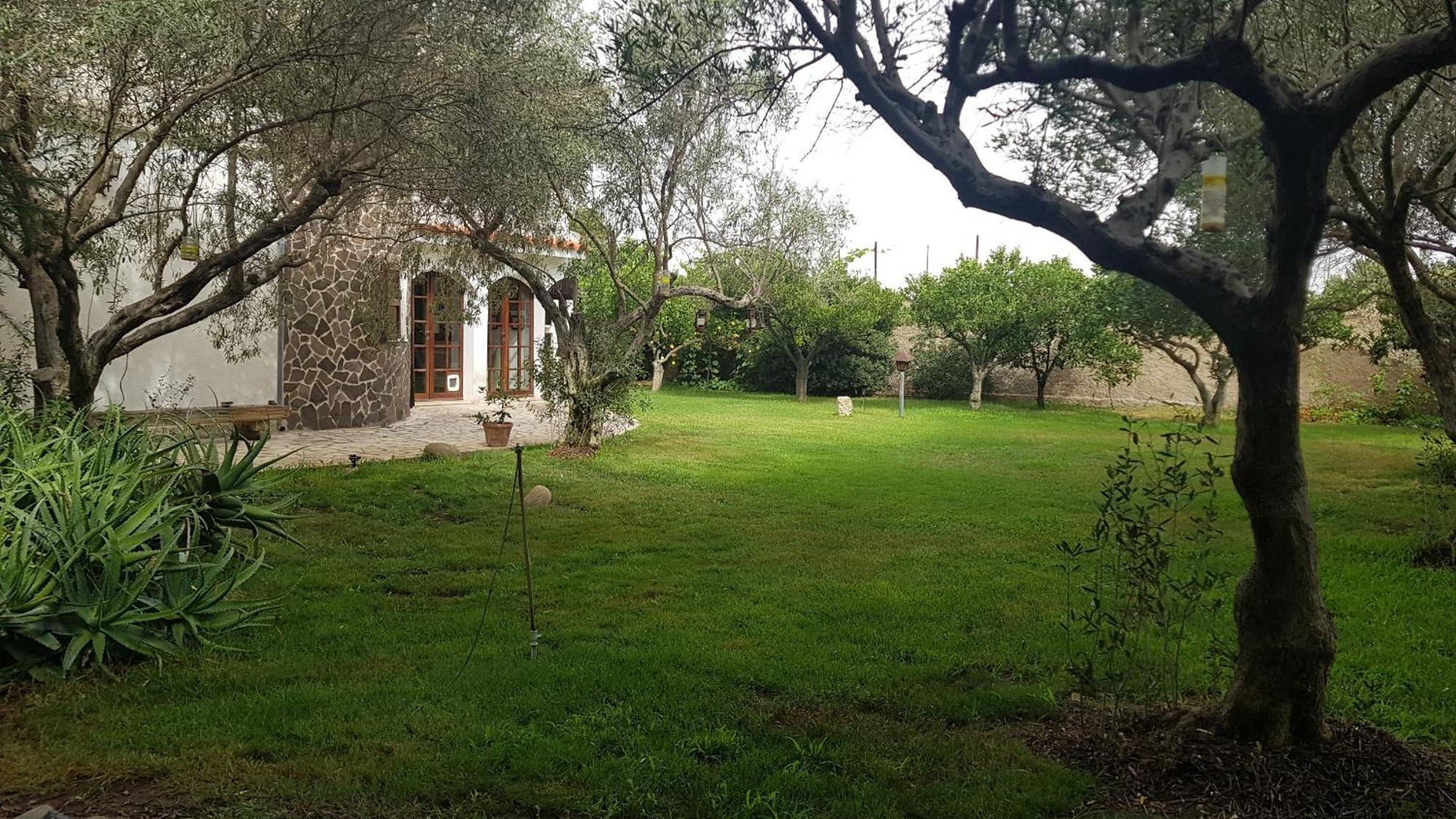 Il Giardino Di Frafa Lägenhet Quartu SantʼElena Exteriör bild