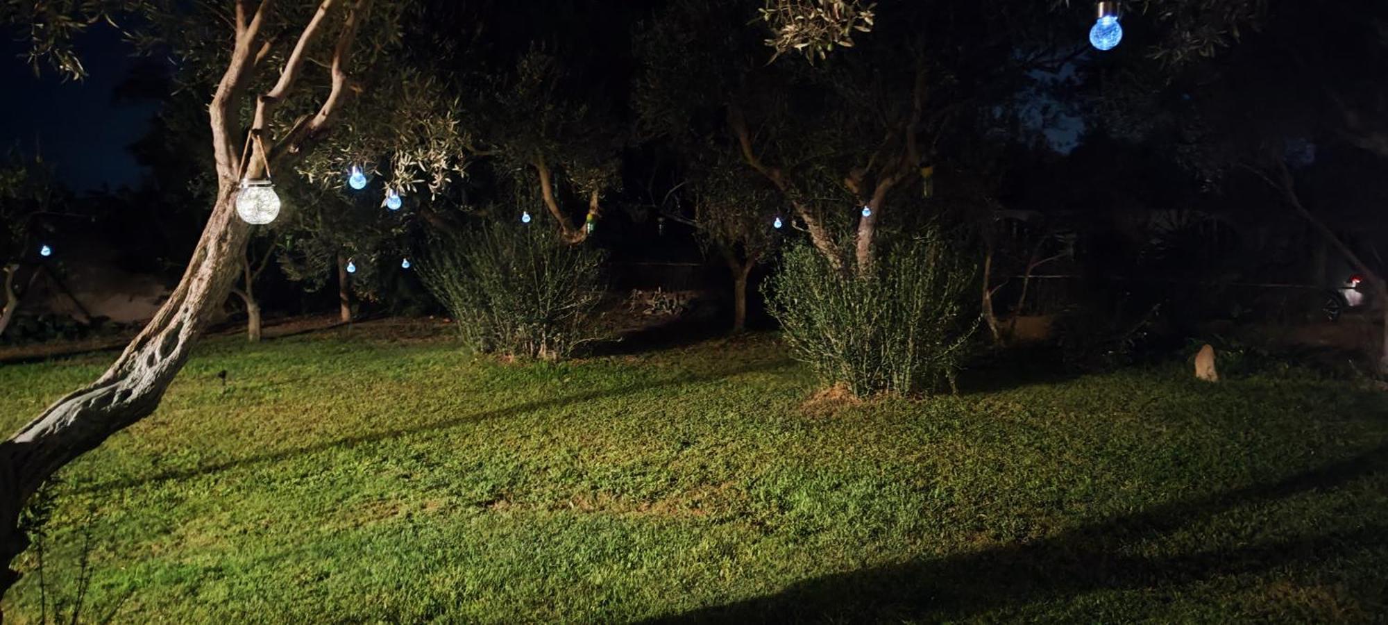 Il Giardino Di Frafa Lägenhet Quartu SantʼElena Exteriör bild