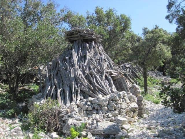 Il Giardino Di Frafa Lägenhet Quartu SantʼElena Exteriör bild