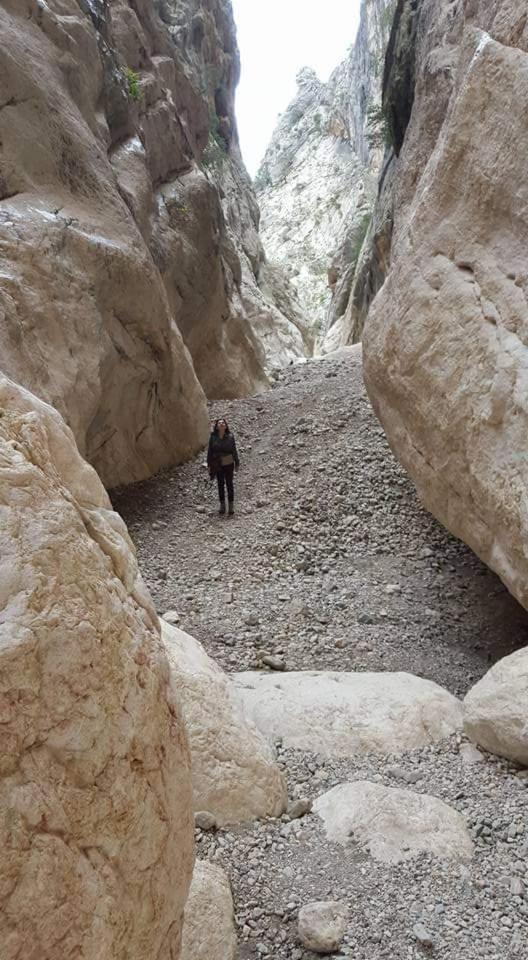 Il Giardino Di Frafa Lägenhet Quartu SantʼElena Exteriör bild